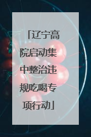 辽宁高院启动集中整治违规吃喝专项行动